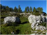 Konec ceste na Vogar - Planina Ovčarija